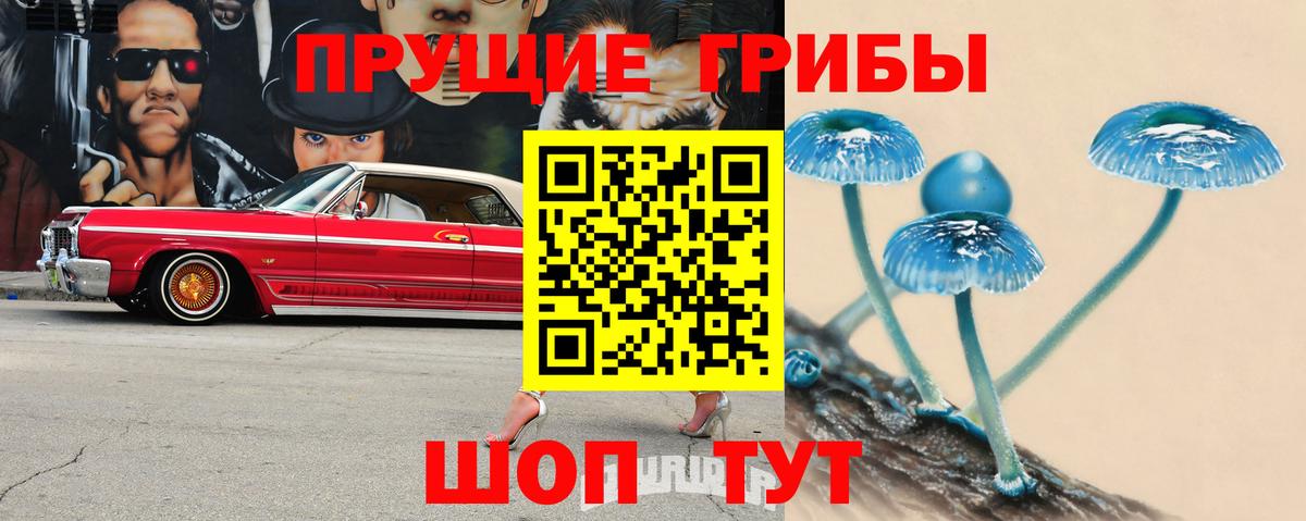 Псилоцибиновые грибы GOLDEN TEACHER  Вход с VPN  Галлюциногенные грибы прущие грибы  Чебоксары 